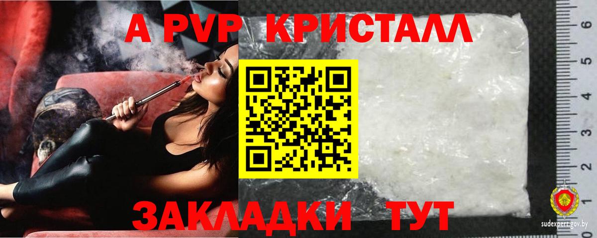 А ПВП СК КРИС Гай