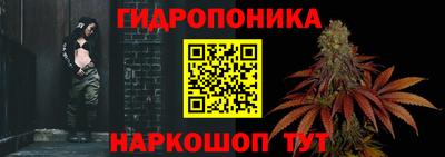 трава Кунгур