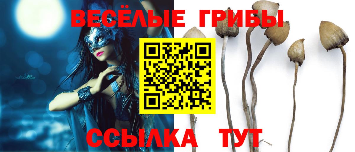 Гай  Псилоцибиновые грибы Cubensis  Галлюциногенные грибы Cubensis  Вход с VPN 
